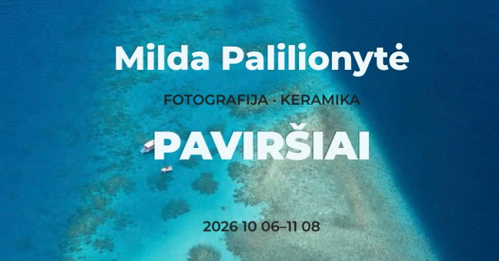 Meklēšanas rezultāta izrādes "Mildas Palilionytes izstāde "Virsmas"" attels