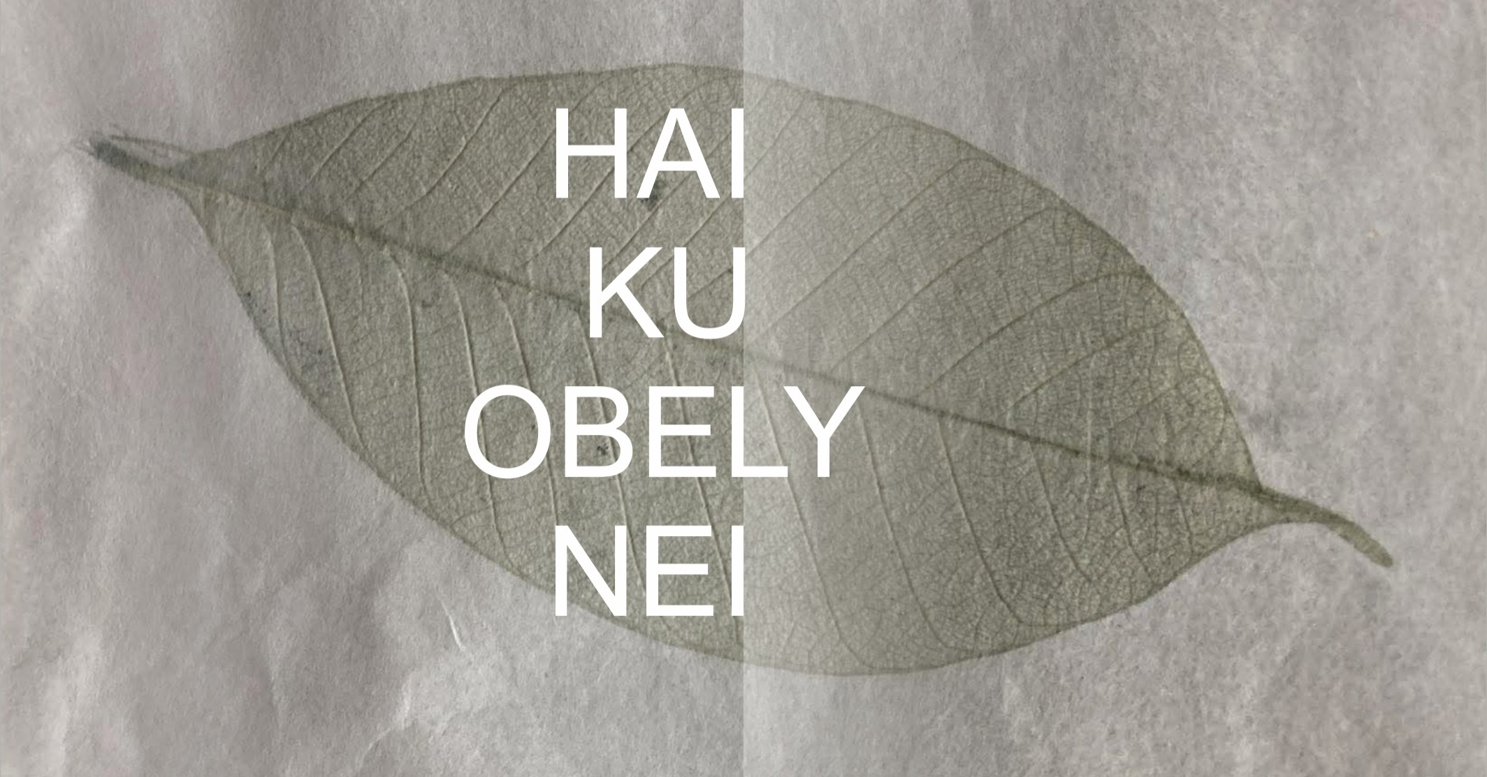 Meklēšanas rezultāta izrādes "Ķēstuta Lanauska mazo skulptūru izstāde "Haiku Obelynei"" attels