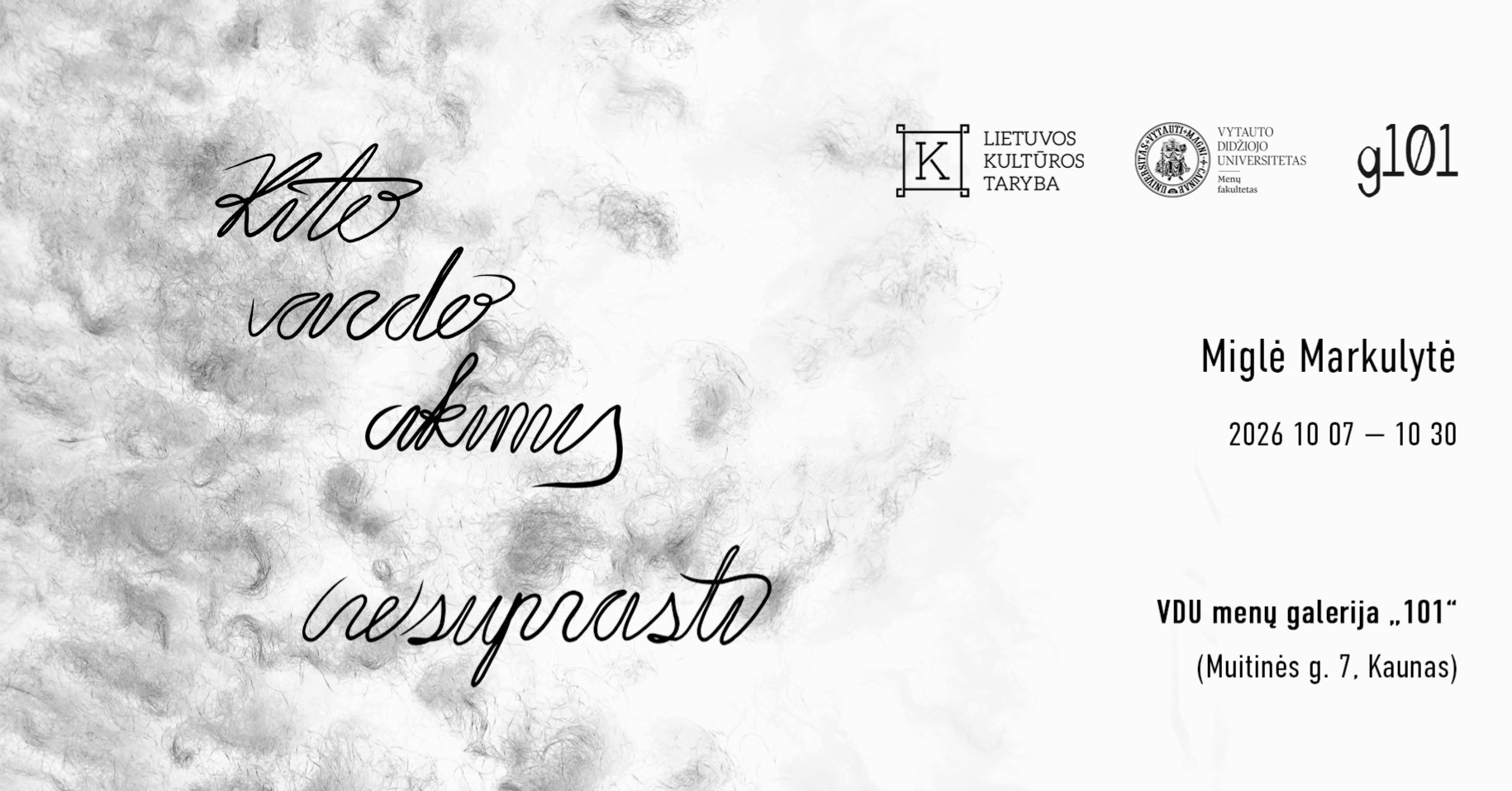 Meklēšanas rezultāta izrādes "CITA VĀRDA ACĪM. (NE)IZPRATNE. Migles Markulītes izstāde" attels